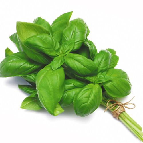 Basil for soup