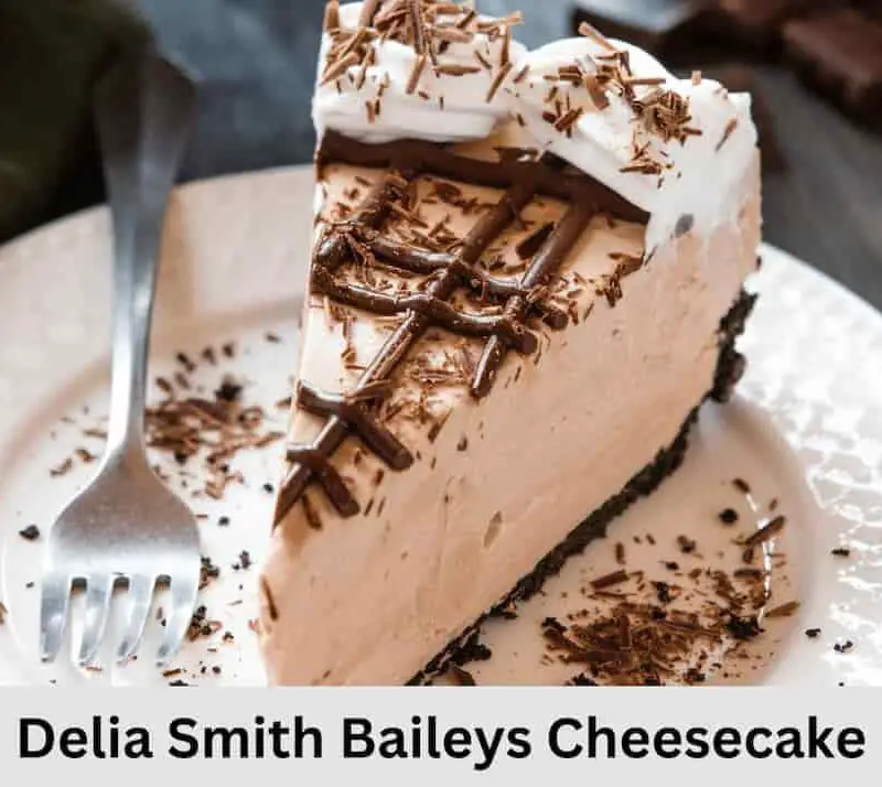 Delia Smith Baileys Cheesecake Recipe