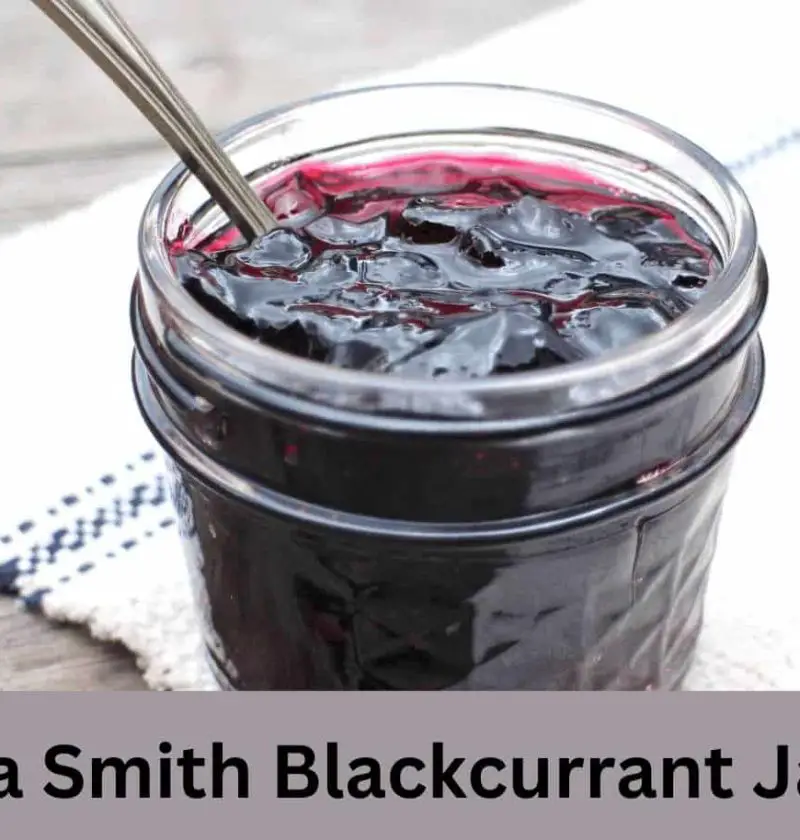 Delia Smith Blackcurrant Jam