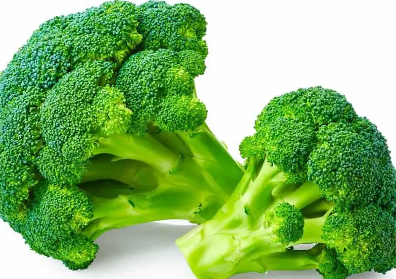 What is Broccoli