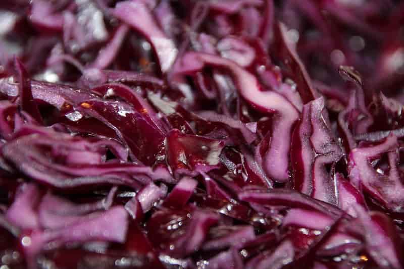 Red Cabbage Recipe Delia Smith