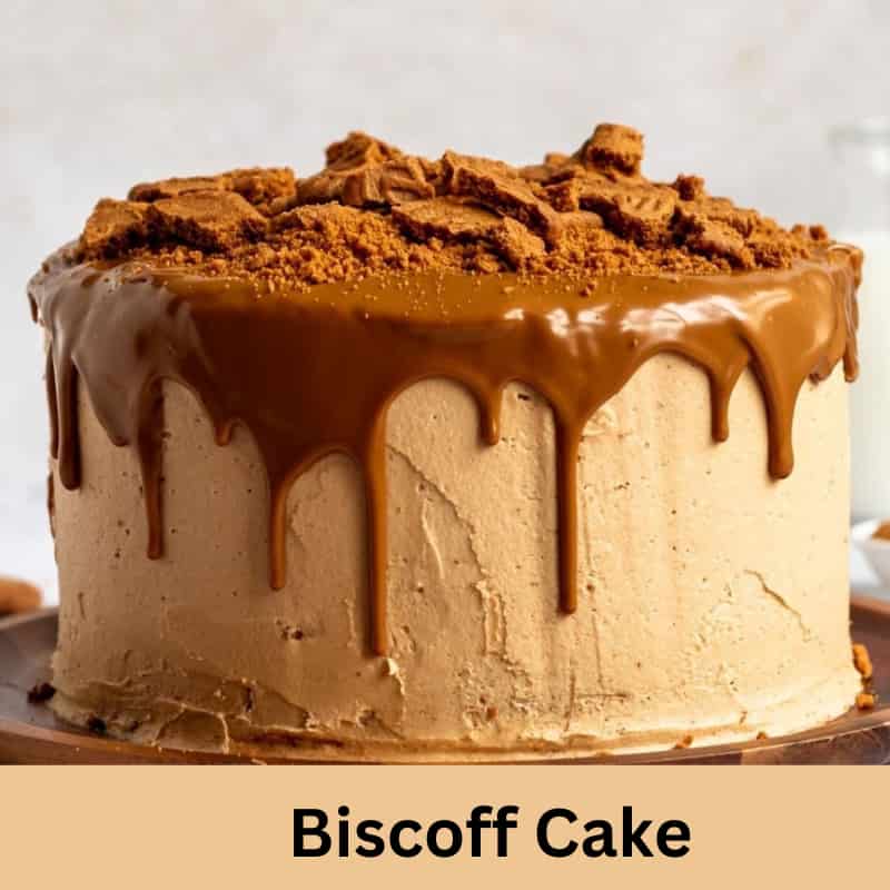 Biscoff Cake Recipe