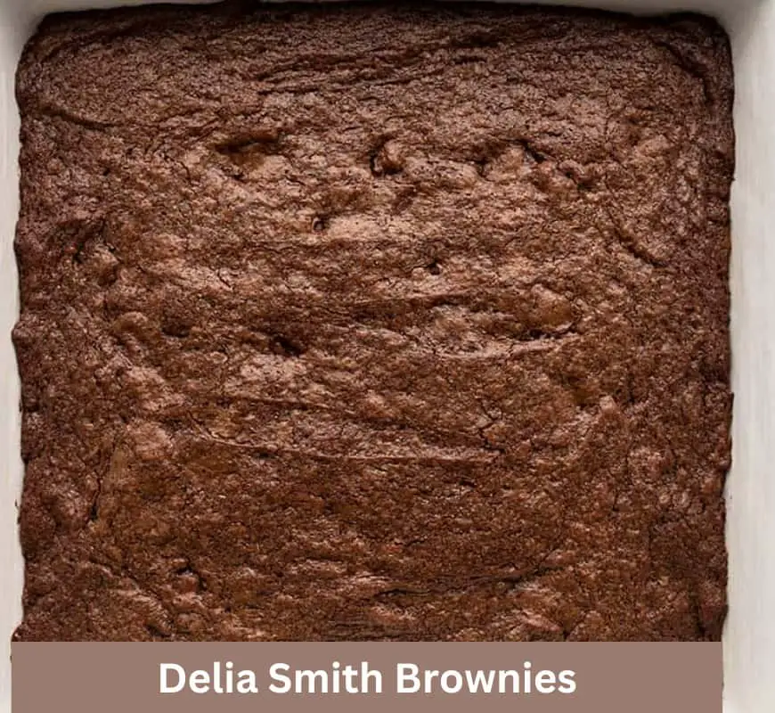 Delia Smith Brownies Recipe British Recipes Book
